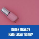 Kutek Brasov Halal atau Tidak