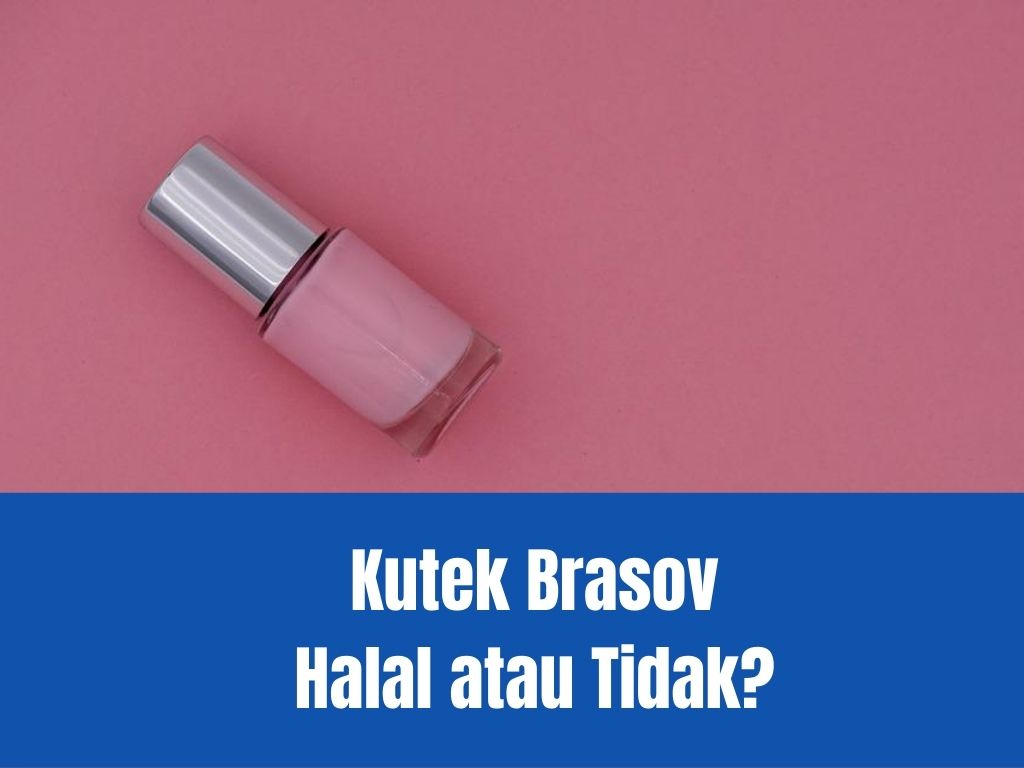 Kutek Brasov Halal atau Tidak