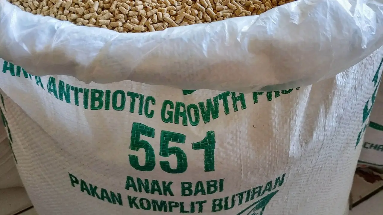 Apakah Pur Babi Halal