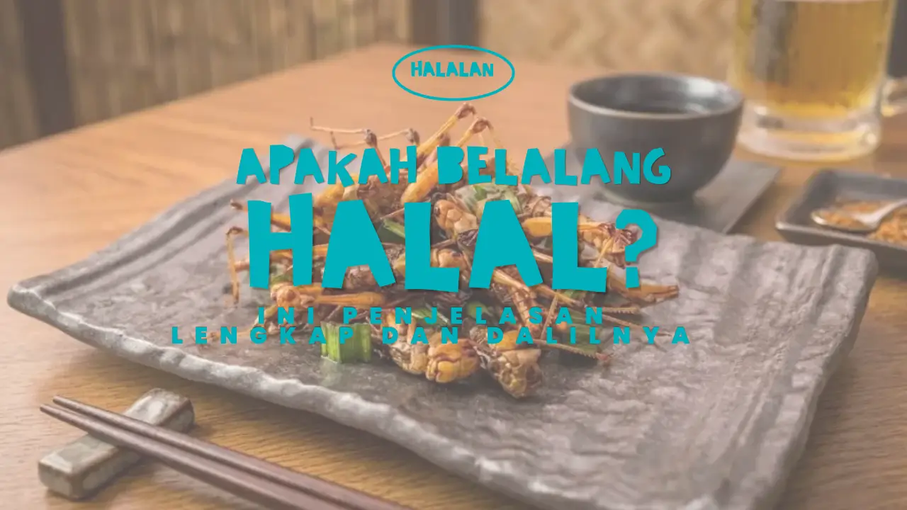 Apakah belalang halal dikonsumsi menurut Islam berdasarkan hadits shahih